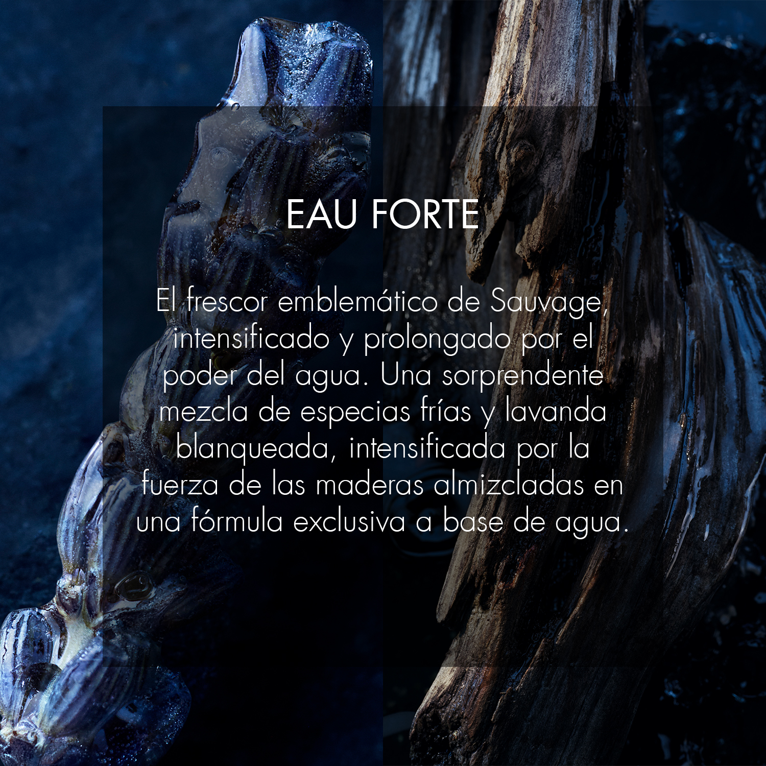 SAUVAGE EAU FORTE PERFUME PARA HOMBRE